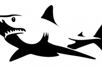 What Kind of Poker Player Are You?